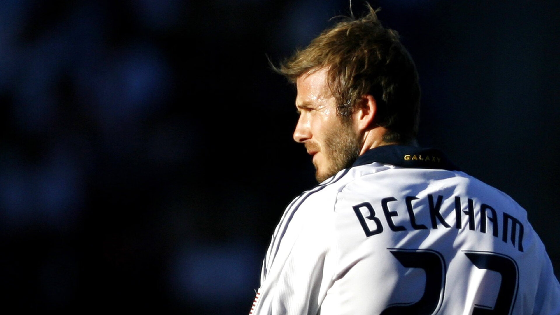 加克波一锤定音，郁金香逆转风暴—2026世界杯荷兰绝境重生记