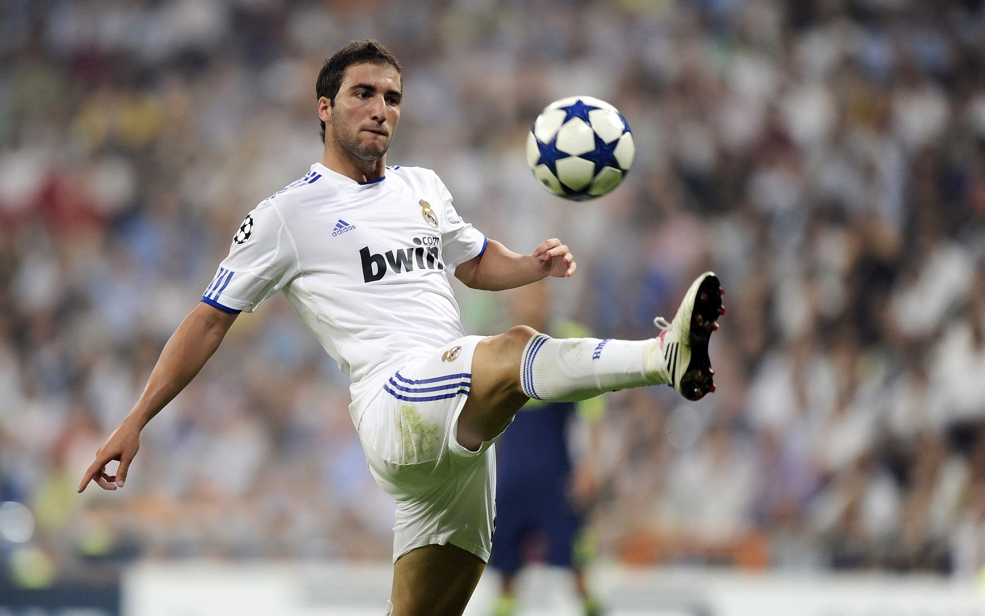 利拉德时间，森林狼的狼嚎，掘金的沉默，与一个杀手的绝对统治