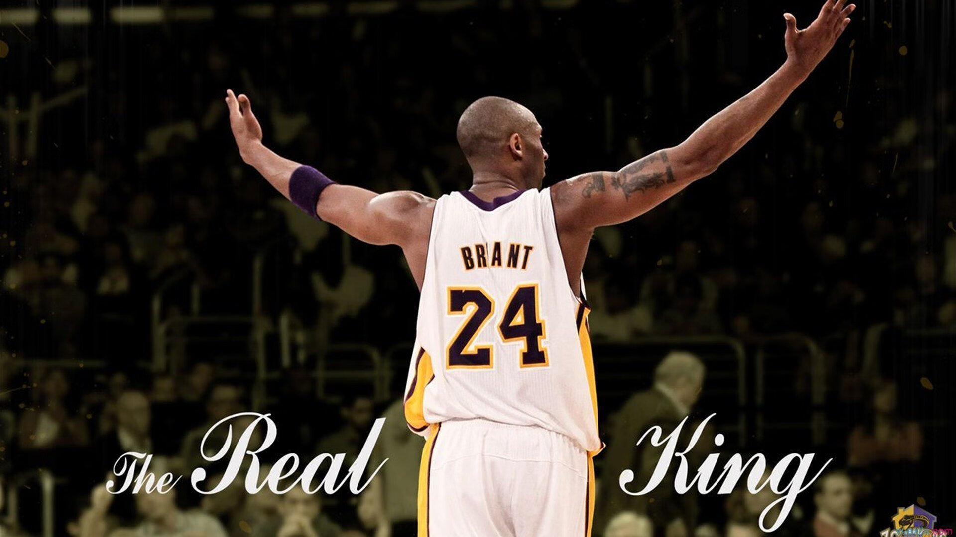 字母哥化身魔术师，雄鹿轻取独行侠背后的篮球哲学革命